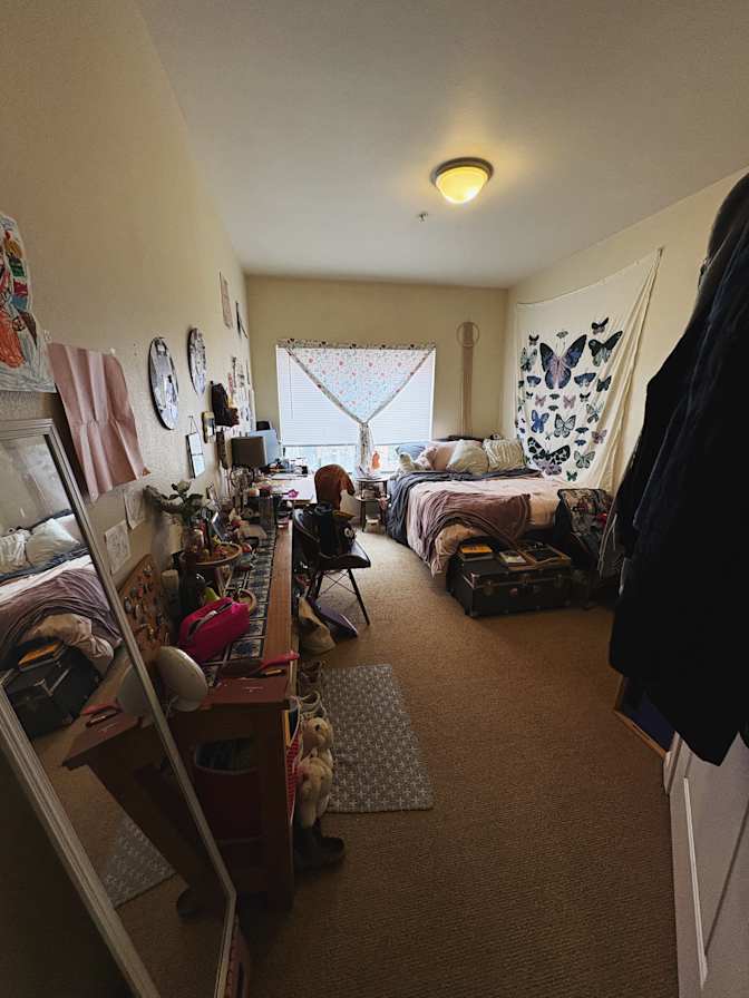 Paige's room