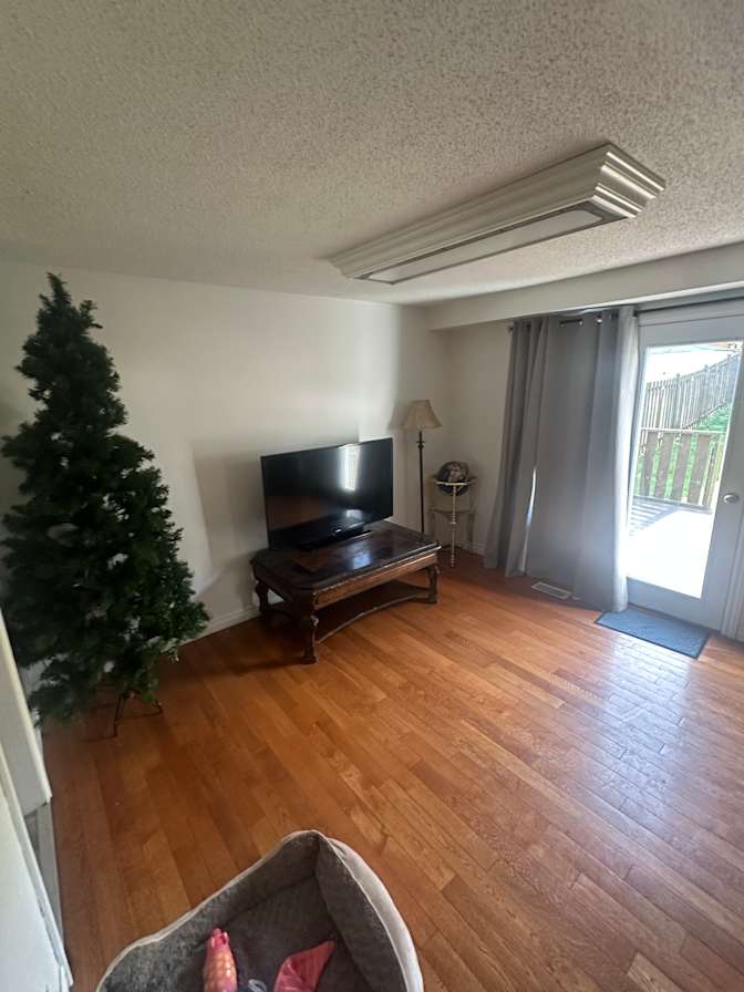 Vidur's room