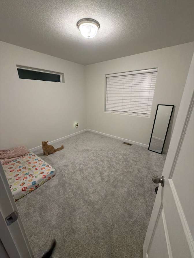 Savannah's room