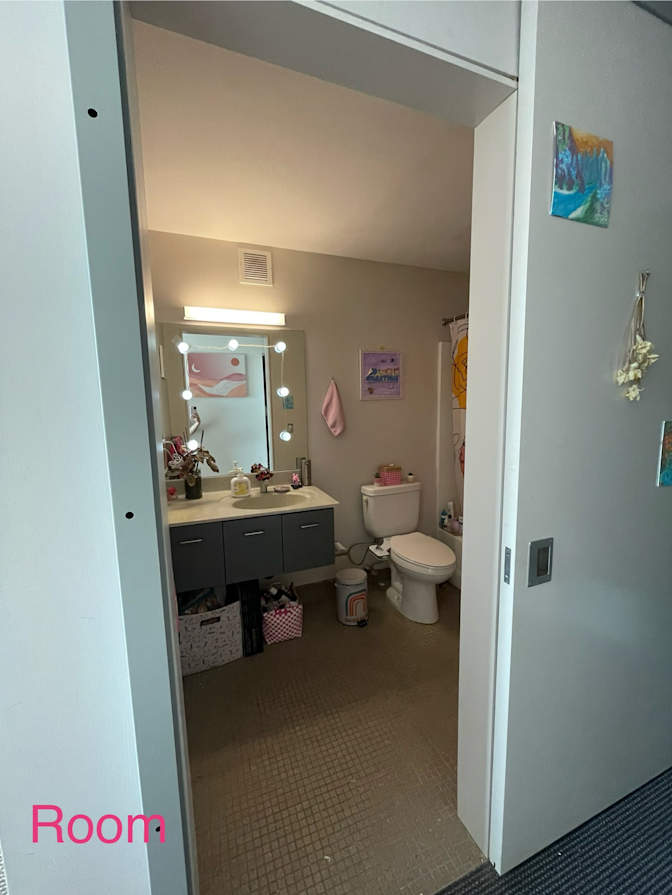 ani's room