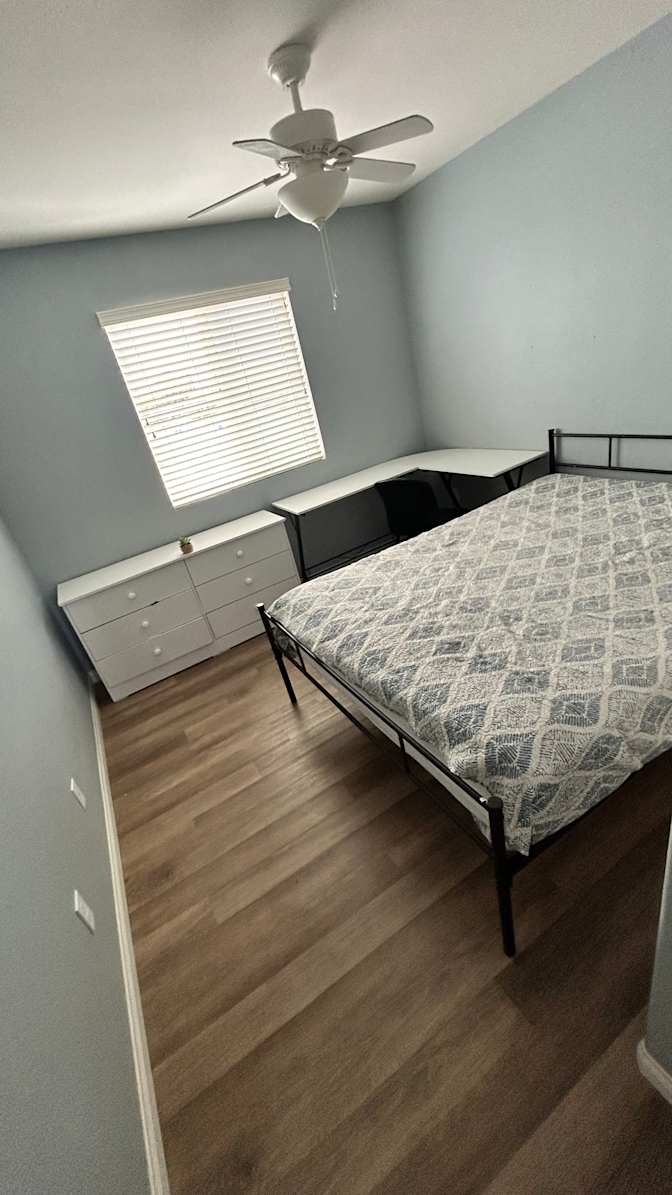 Ed's room