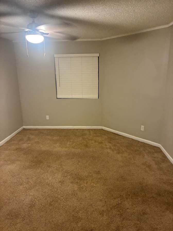 Moe's room