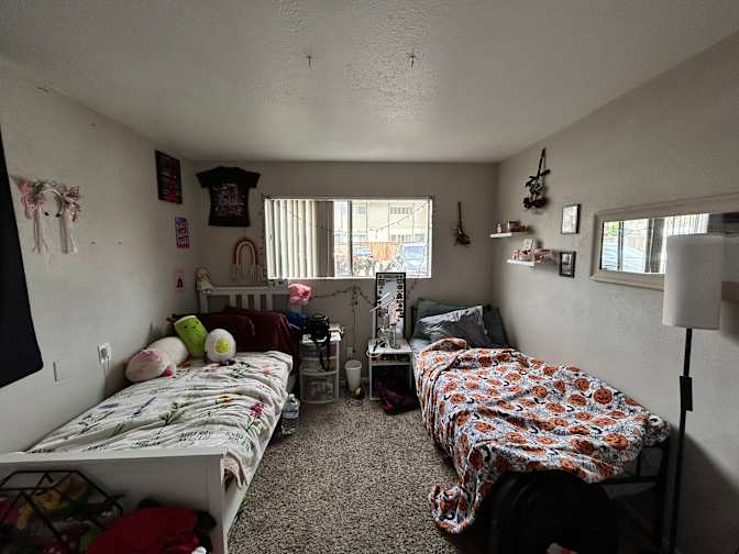 Jersey's room