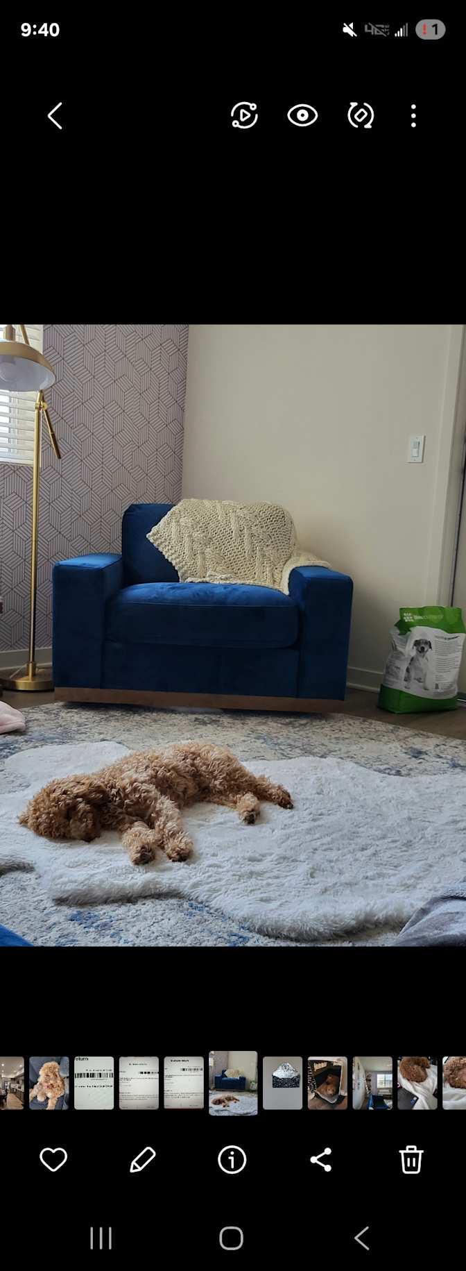Asia's room
