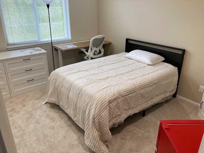 David Paul's room
