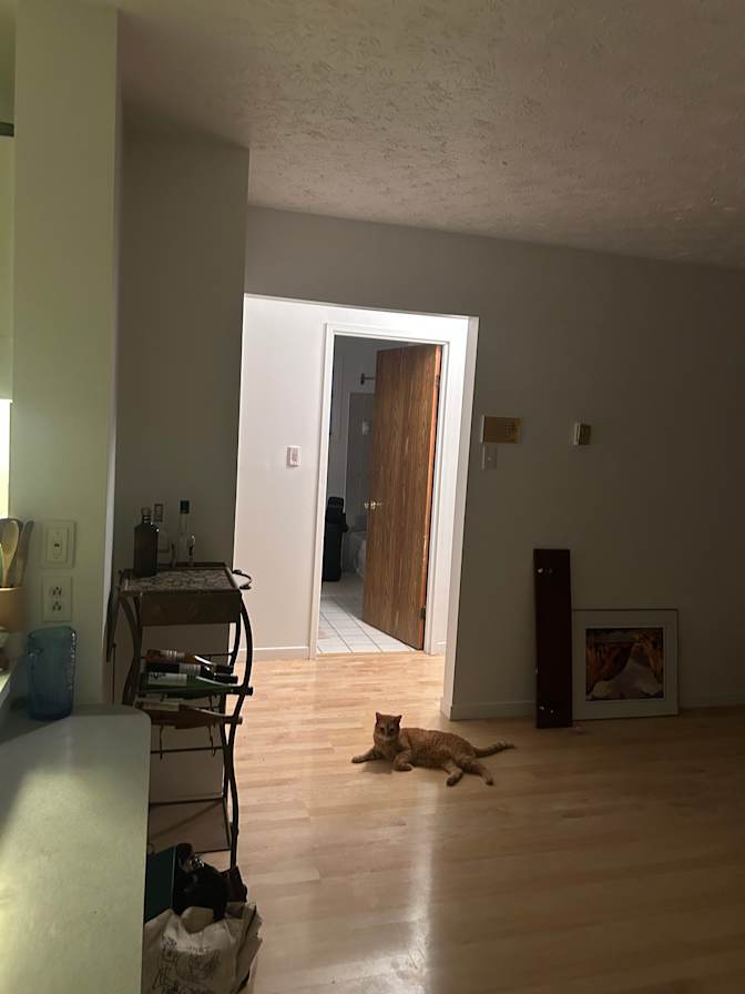 Ella's room