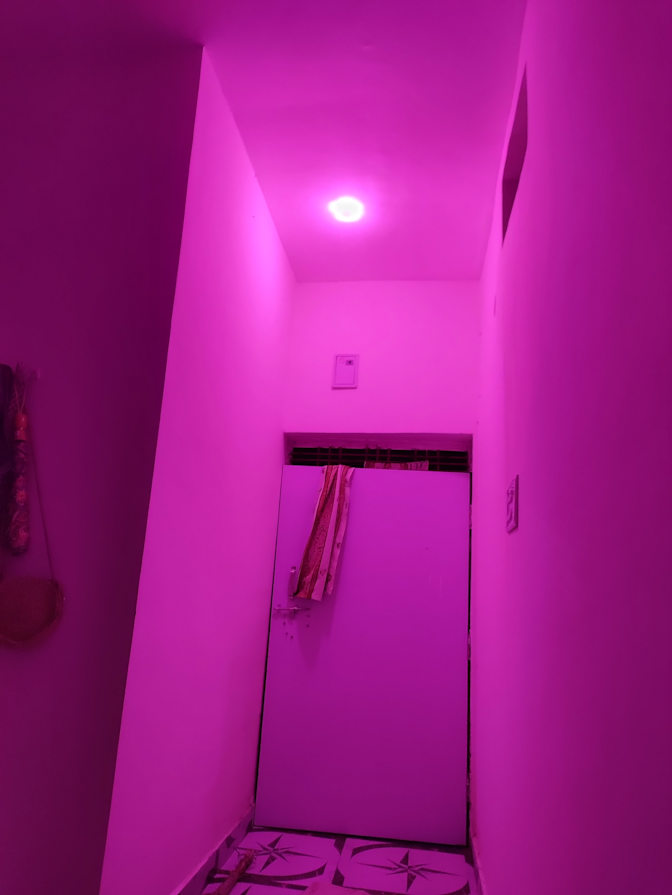 Muskan Gupta's room
