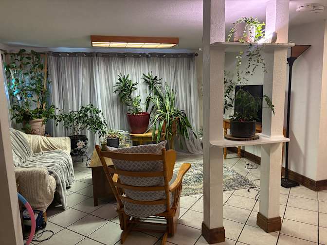 BRANDILYN L DAVIDSON's room