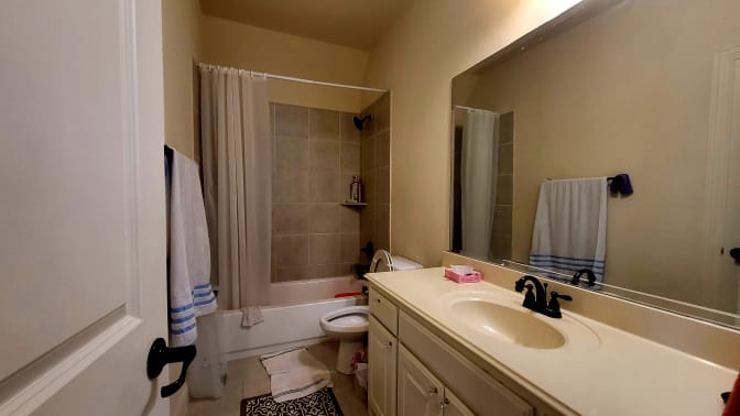 Mary's room