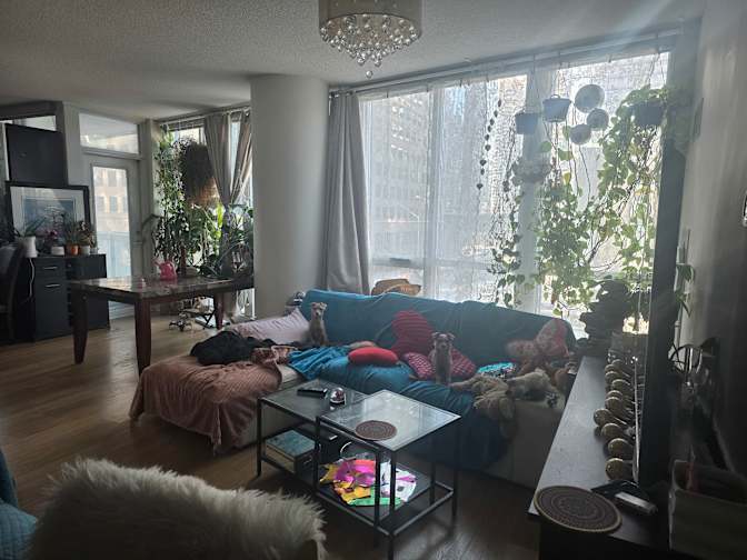 Rachita's room