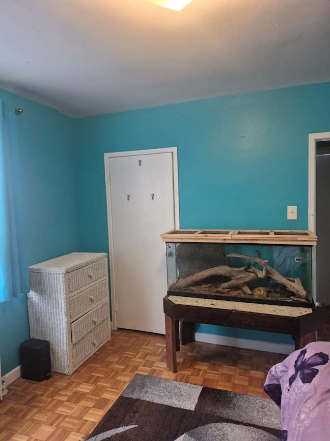 Steve's room