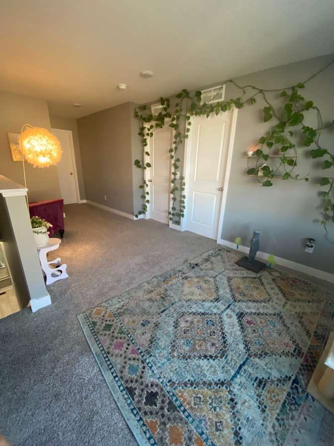 Humaira's room
