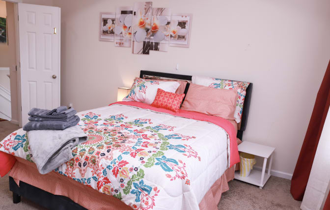 Alcove Rooms's room