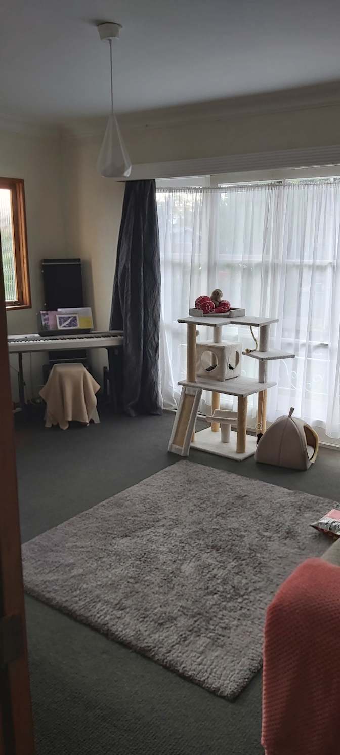 Camillia's room