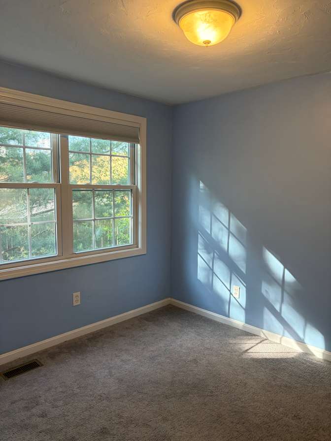 Amy's room
