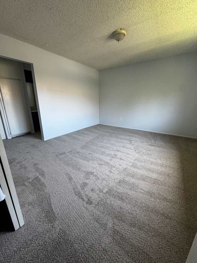 Erin's room