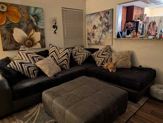 Susan Upton's room