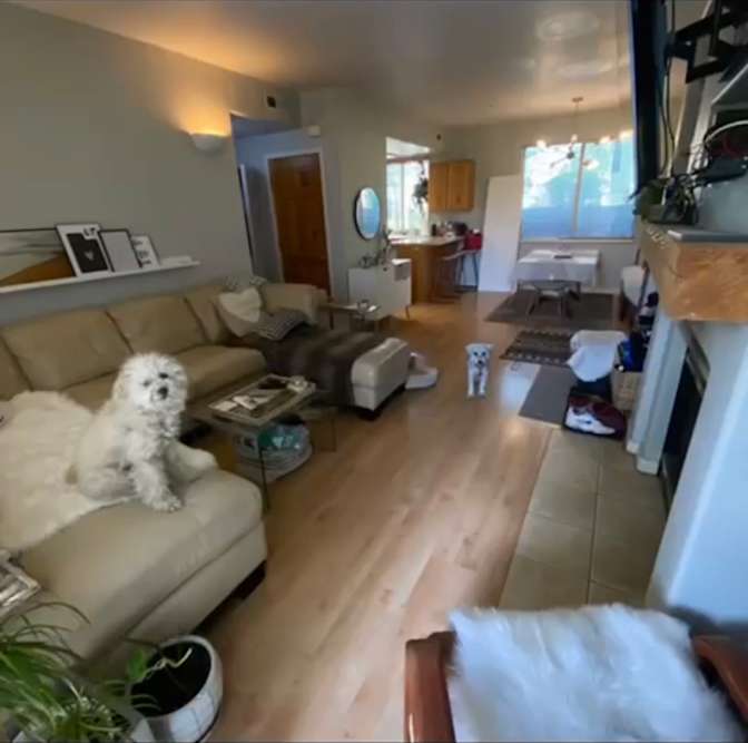 Carmela Foote's room