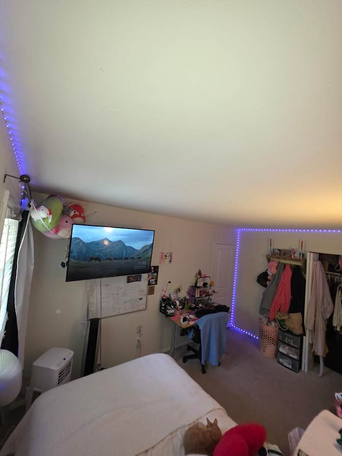 Rose's room
