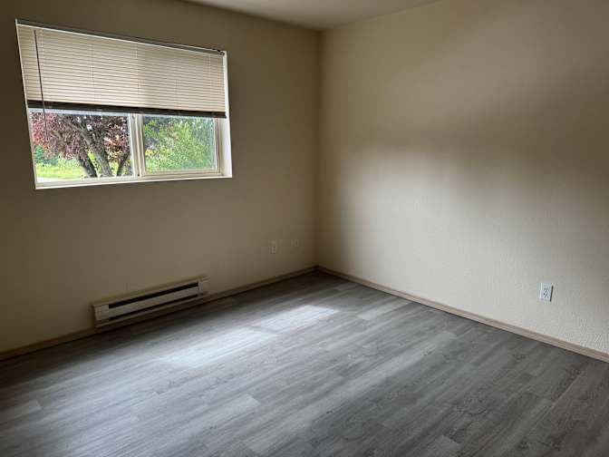 Sophia Peterson's room