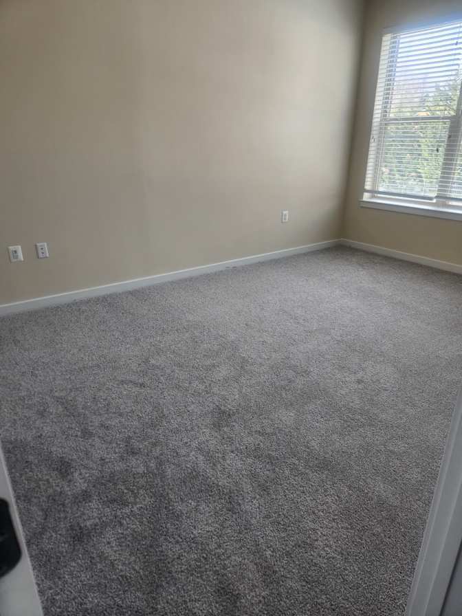 Sandra's room