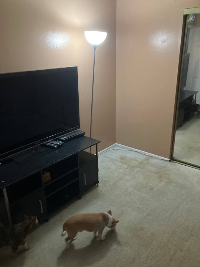 Michael's room
