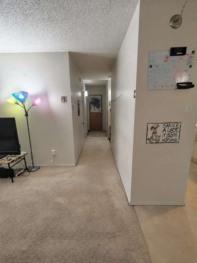 Animesh's room