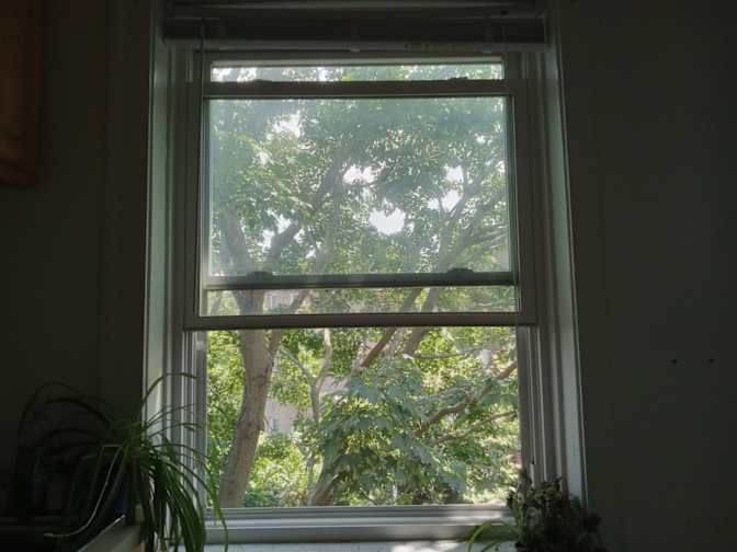 Isadora's room