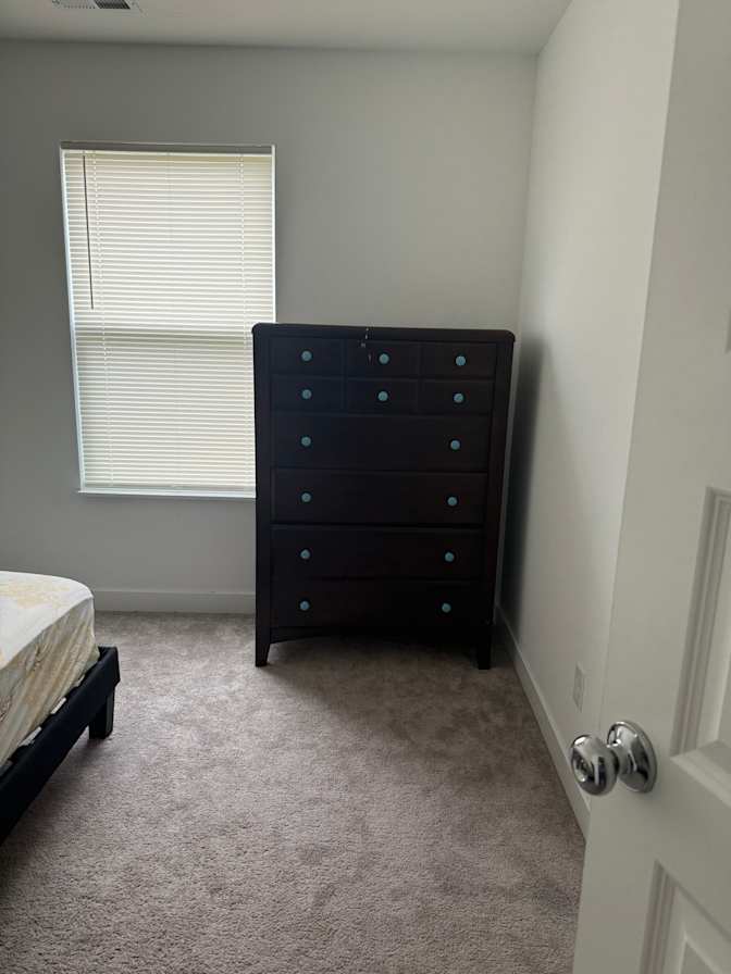lauren's room