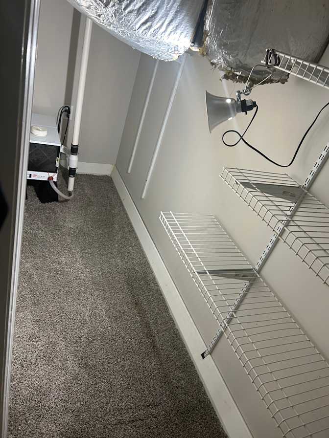 Arianna's room