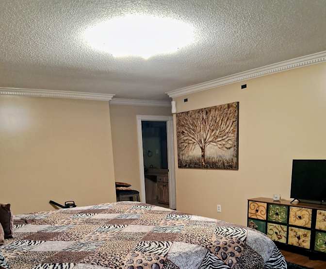 Buffi's room