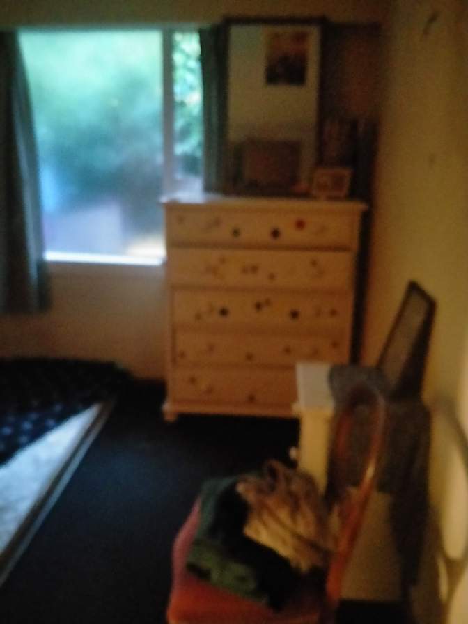 Courtney Paige Mercer-Black's room