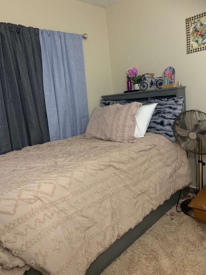 Dayanitza's room