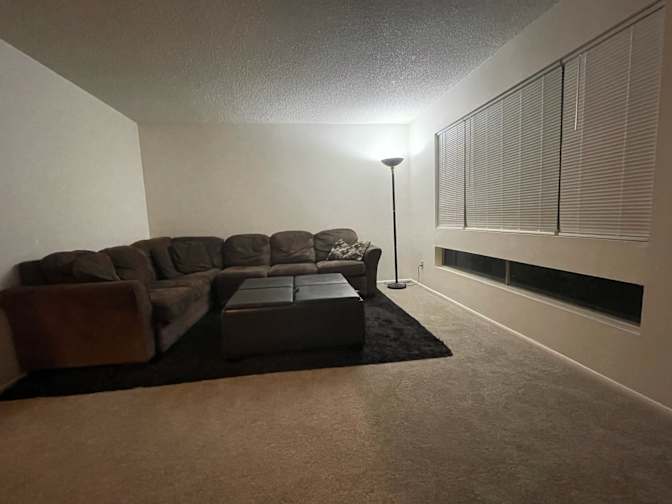 Taylor's room