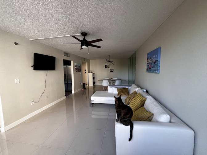 luis villalta's room