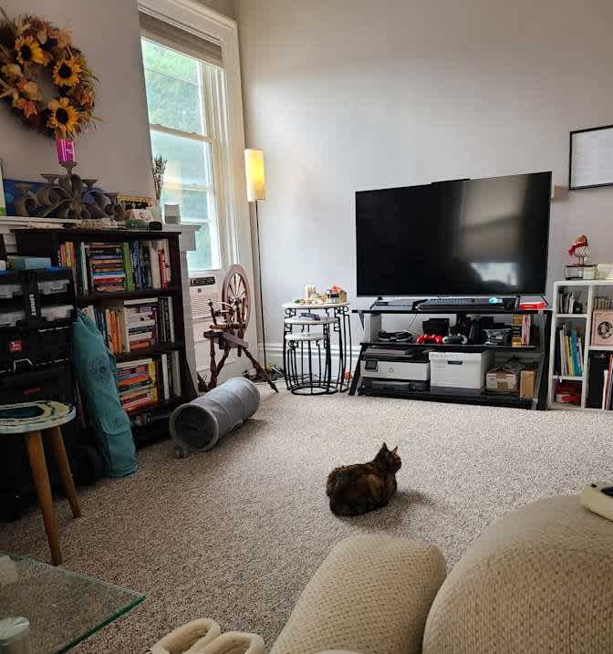 Caitlyn's room