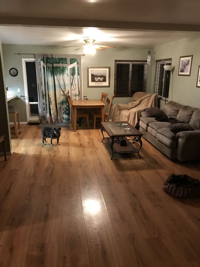 Scott's room