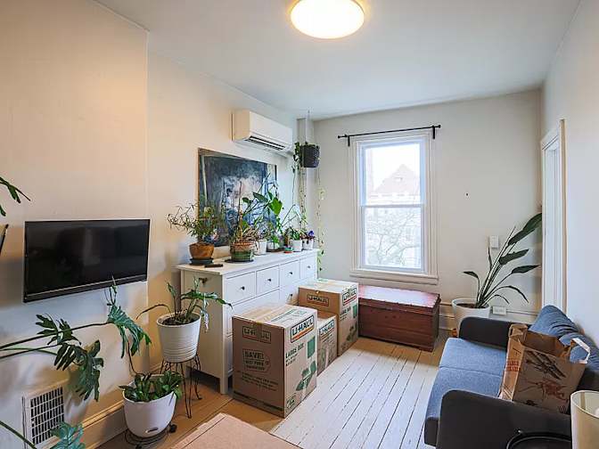 Frank's room