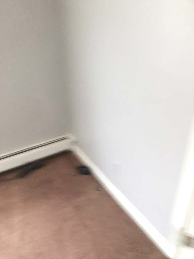 Meeka's room