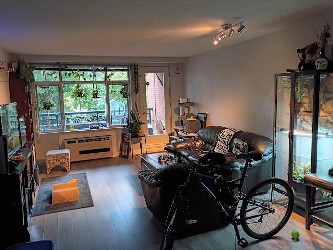 Tennyson's room