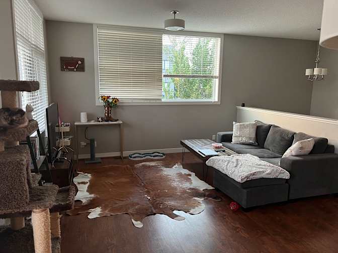 Ashley's room
