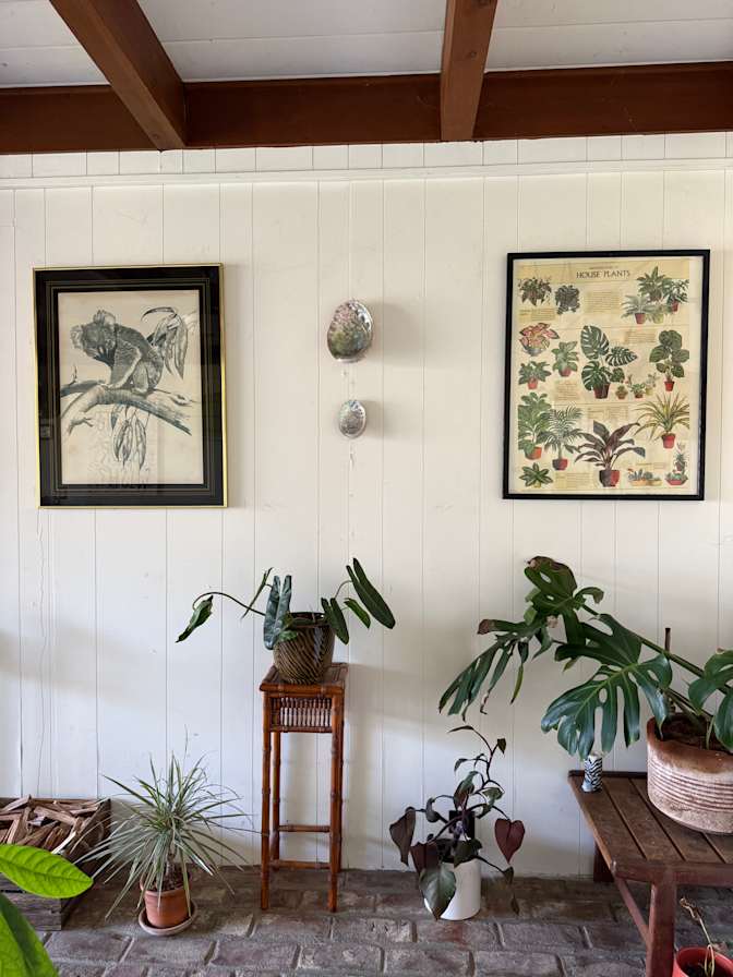 Taylor's room