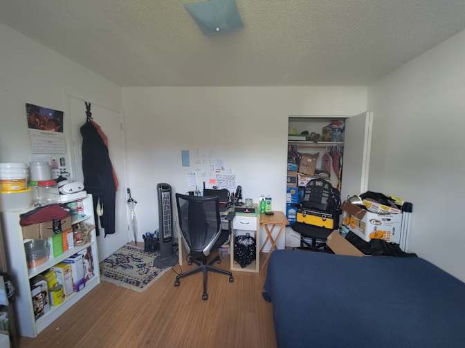 Serp's room