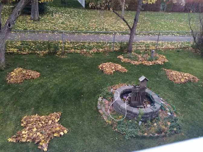 Meng Qiong Huang's room