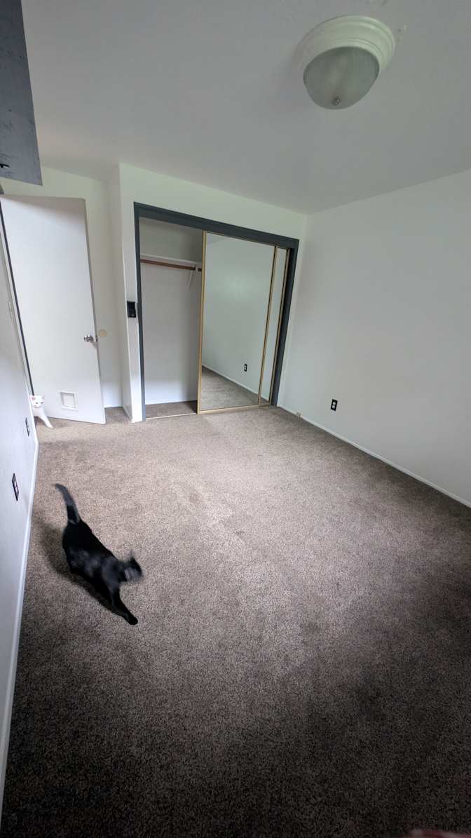 Lacey Bolduc's room