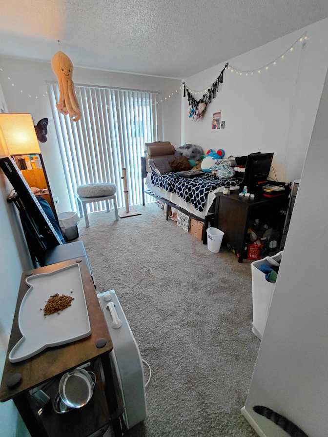 Micah's room