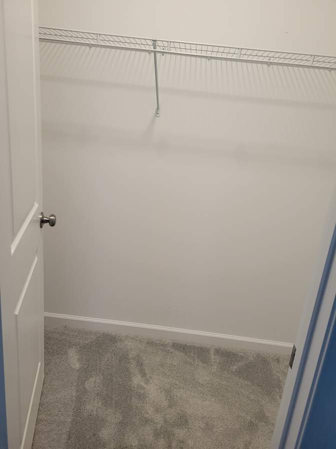Zuzu's room