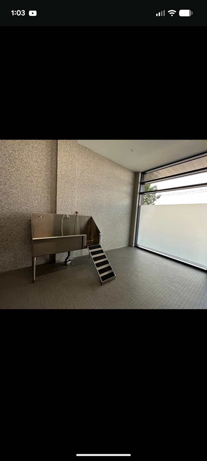 Nahid Tahrima's room