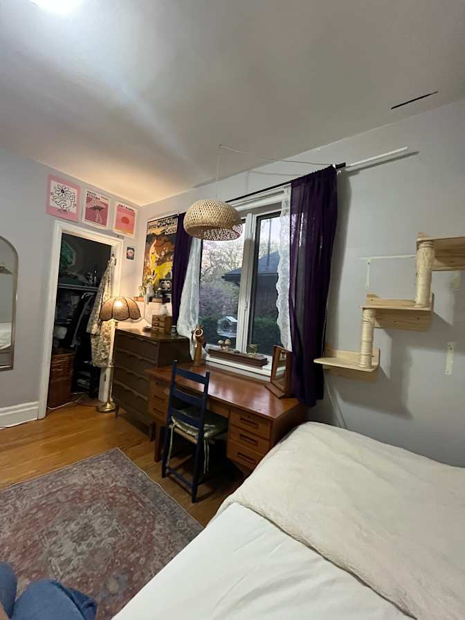 Saffron du Preez's room