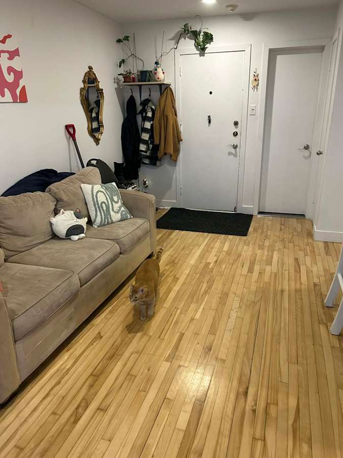 Melina Dallot's room